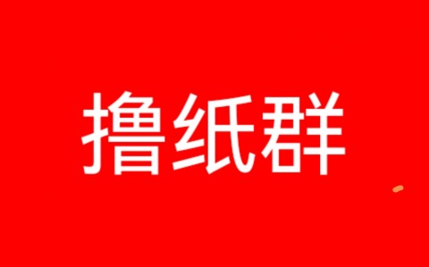 撸纸群速度进
