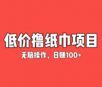 撸纸最新玩法：适合新人，日赚100+轻松实现！